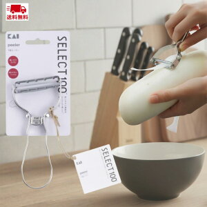 yzL KAI Ki SNS b s[[ ނ Vo[ SELECT100 T^ DH3000 Ls[[ ZNg 100 4901601413342