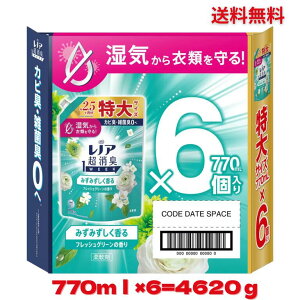 yP[X̔zmA L 770ml×6  tbVO[̍ _ ߂p ܂Ƃߔ  L TCY jIC  銱 ԕubN TCY e _ _