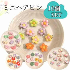 ミニ ヘアピン 10個セット 花 お花 リボン 前髪 リボン パッチン 落ちない 長い おしゃれ 小学生 キッズ 女の子 セット ヘアクリップ キッズ 子供 ヘアアクセ カラフル 髪留め 子ども用 カラー かわいい 安い 絵文字 キャラクター カラフル 小さい パーツ 半額以下