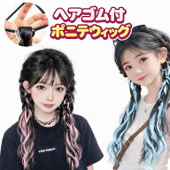 エクステ キッズ ポニテウィッグ ポニーテール ウィッグ つけ毛 ダンス ストレート ダンス ヒップホップ …