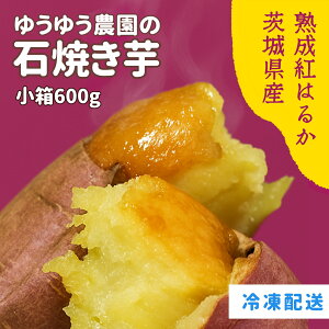 _50%OFFN[|^䂤䂤_ Ă Ⓚ 600g  Mtg {bNX Mtg g͂邩 ܂ 錧Y Ε