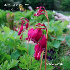 mR쑐n ZFqP}\EuobJiv