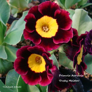 mR쑐n vEI[Lu_XL[ECfv