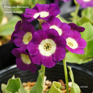 mR쑐n vEI[LuW[Ei^[v