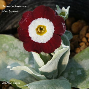 mR쑐n vEI[LuUErVbvv