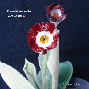 mR쑐n vEI[L uo[WjAExv