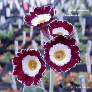 mR쑐n vEI[Luz[NEbhv