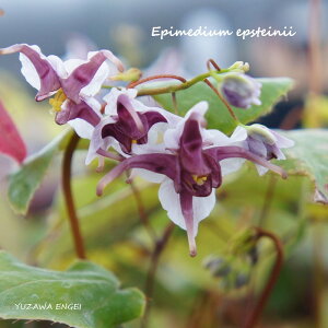 mR쑐n CJ\EuGvXeBjBv