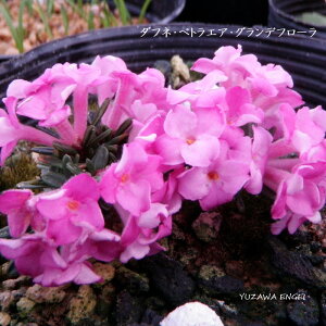 mR쑐n _tlEygGAEOfBt[