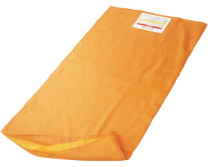 gC[W[XChV[g IW TES-100  TAISR[hF00947-000001