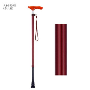 XlbNc[gXebL@AS-250RE (LkEאg) / }LebN