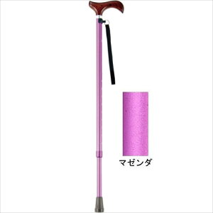 [XebL AS-10MG (LkEאg) }[^ }LebN