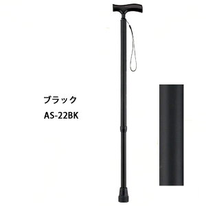 XebL (LkEאg) AS-22BR uE }LebN