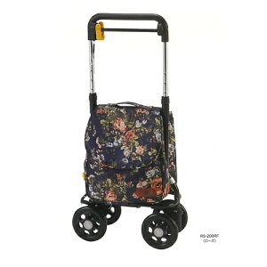 T|L[ [Y W21×D41×H75`85.5cm RS-200RF }LebN
