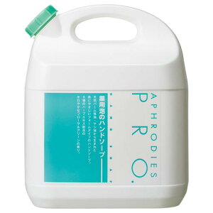 AtfBGXPRO. pÃnh\[v Ɩp 4L APHS-4A C^j