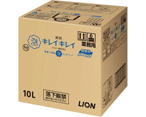 v Ɩp@LCLCpAnh\[v 10L CInCW[