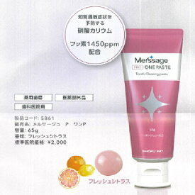 クリーニングペースト　メルサージュ　プロ　ワンペースト 65g 松風
