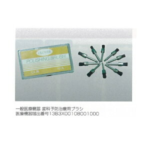 uV ؖѐ |bVOuV PMTCp HPp  10{ N[o[