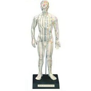 l̖͌^ II WHOWo 16×16×51cm ^t[C^[iVi