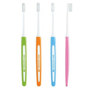 DENT.MAXIMA M �~�f�B�A�� 4�F�A�\�[�g 12�{��(�e�F3�{��) ���C�I��