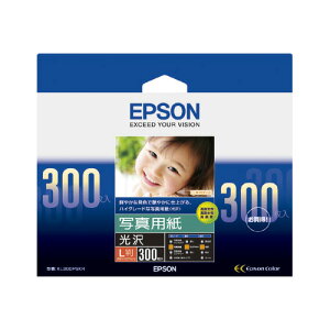 ʐ^p L 1(300) KL300PSKR Gv\