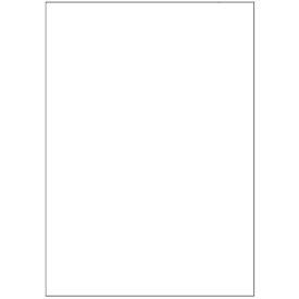 TANOSEE マルチプリンタ帳票 複写タイプ A4 ノーカーボン 白紙 1箱(500枚:100枚×5冊) BPCT2000 大塚商会
