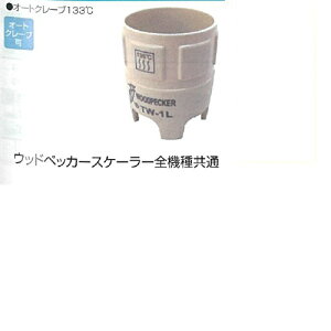 gXP[[ ANZT[p[c gN` 1 EbhybJ[