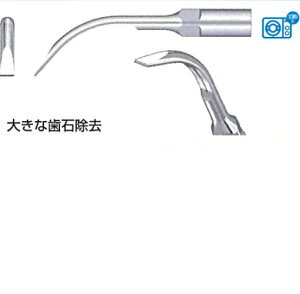 �y��Ë@��z�X�P�[���[�`�b�v PIEZO�`�b�v SCALING GD6 (SATE�p) 1�{ �E�b�h�y�b�J�[��