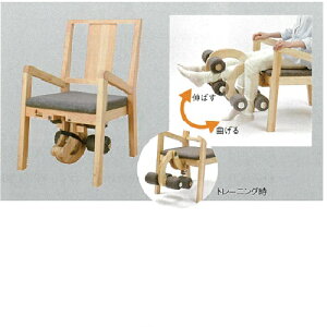 �G�N�V�X���b�O W520×D600×H900mm 10.5kg