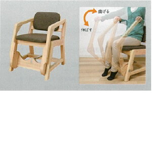 �G�N�V�X�A�[�� W520×D615×H670mm 9kg