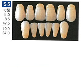 【医療機器】 人工歯 硬質レジン歯 プロテックス前歯 S5 下顎 色調A2 6歯入