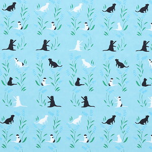 ܂莆 ㎆ wFT l nekoA-1x