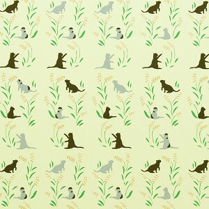 ܂莆 ㎆ wFT l nekoA-2x