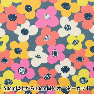 y5z n wkippis (LbsX) IbNX t EH[ KPO-57Cx