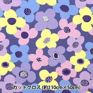 n wkippis (LbsX) IbNX JbgNX 108cm×50cm t u[O[ KPOK-57Bx