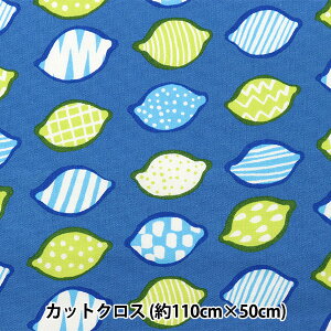 n wkippis (LbsX) IbNX JbgNX 108cm×50cm  u[ KPOK-58Cx