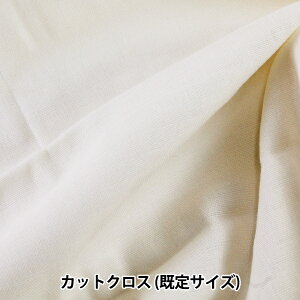 n wWK[[ (_uK[[) n 110cm×50cm JbgNX WG401 x[Wx