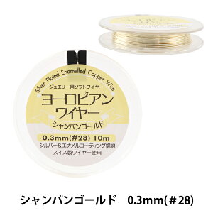 |C[ w[sAC[ VpS[h 0.3mm #28 10mx