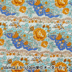 y5z n wSOULEIADO \CA[h Be[WtB[ OX[Y ACXO[ SLFCV-100Bx