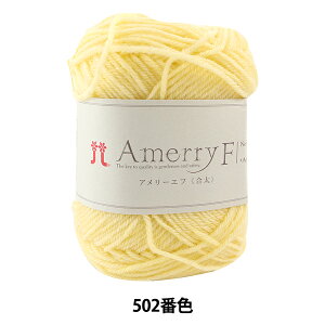 H~ю wAmerry F (A[Gt) () 502ԐFx Hamanaka n}iJ