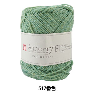 H~ю wAmerry F (A[Gt) () 517ԐFx Hamanaka n}iJ
