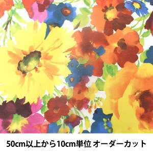 y5z n wI[KW[vg A IWx