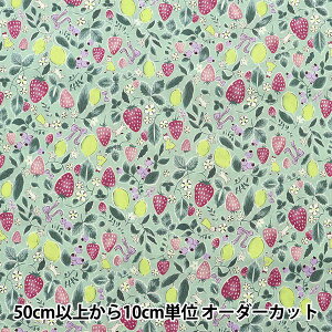 y5z n wV[`O C`S  YWA-21010-1Cx KOKKA RbJ