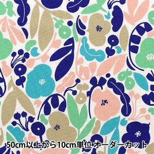 y5z n wkippis (LbsX) IbNX Ȓt x[W KPO-60Bx