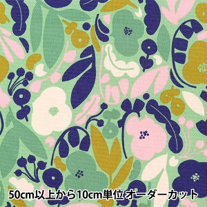 y5z n wkippis (LbsX) IbNX Ȓt O[ KPO-60Cx