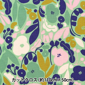 n wkippis (LbsX) IbNX JbgNX 108cm×50cm Ȓt O[ KPOK-60Cx