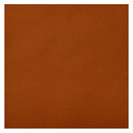 フェルト 『ウォッシャブルフェルト 18角 (1mm厚) RN-06番色』 SUN FELT サンフェルト