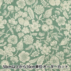 y5z n wȖV[`O Natural{^jJ ACXO[ YGA-49080-2Cx KOKKA RbJ