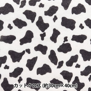 tFg wvgtFg  30cm×40cm x