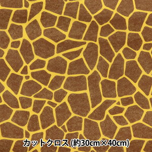 tFg wvgtFg  30cm×40cm Lx